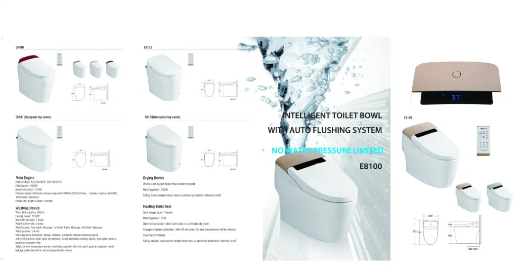 Concealed Cistern with Flush Fittings