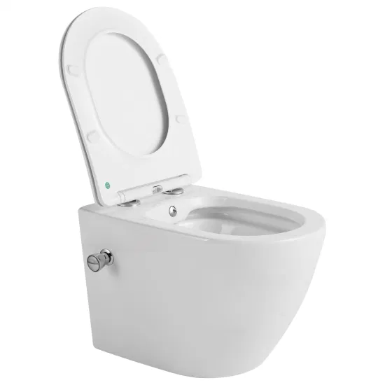 Chaozhou Hersteller Beliebter europäischer Standard, anpassbare Farbkeramik, randlose Wandtoilette mit Bidet